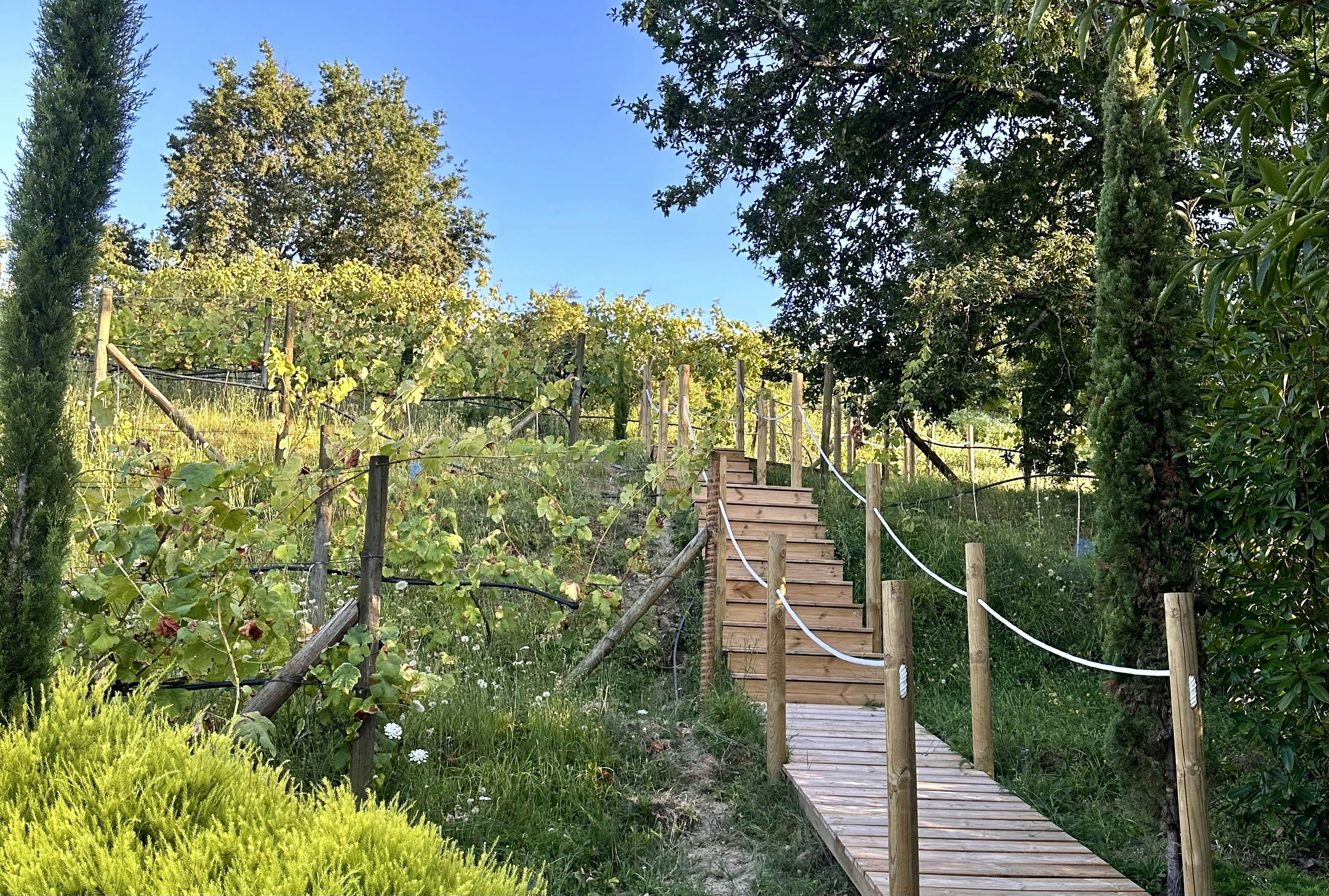 Interior Connection Hotel Villas