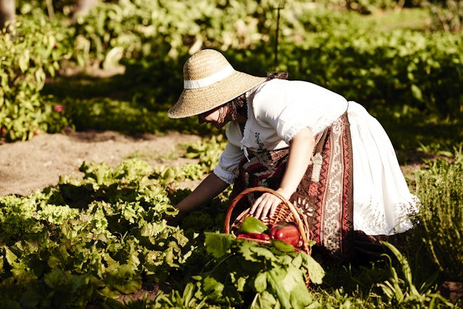 Carmo's Kitchen Garden