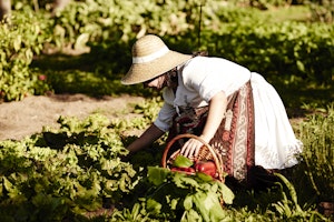 Carmo's Kitchen Garden