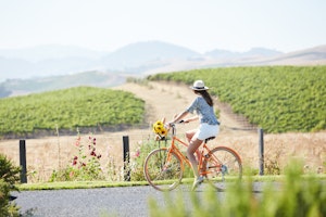 Carneros Resort and Spa - Local Cycling
