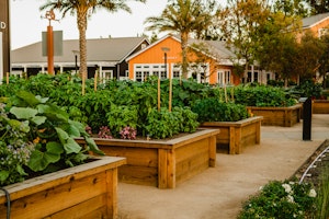 On-site Culinary Gardens