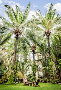Gardens