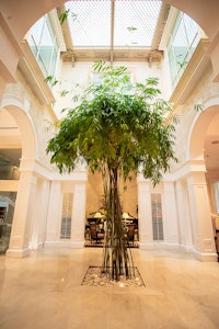 Lobby Bamboo