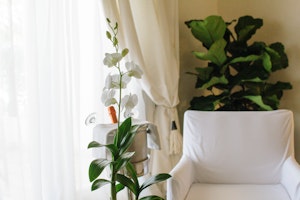 Room Details