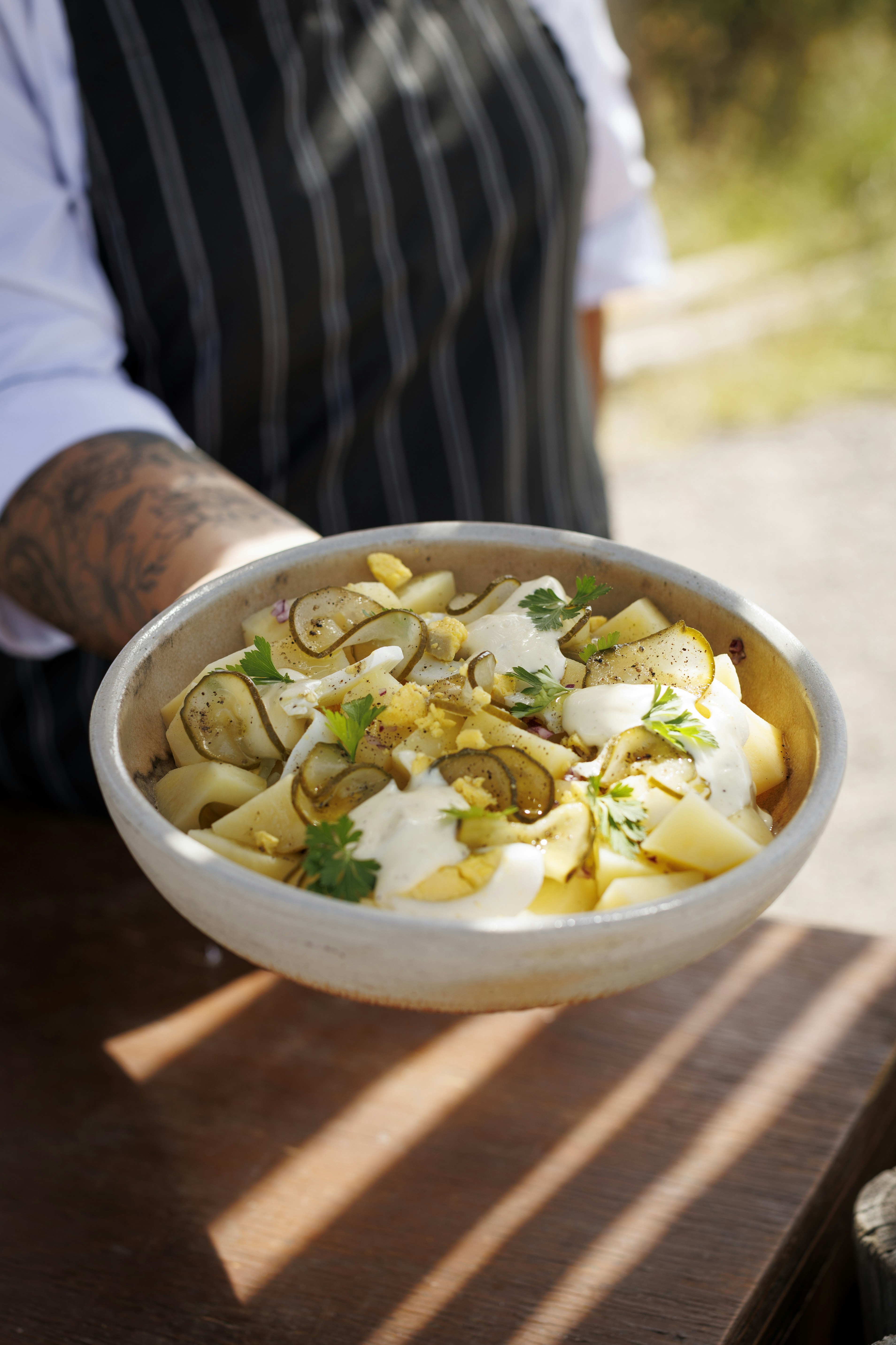 Salads from the Organic Garden
