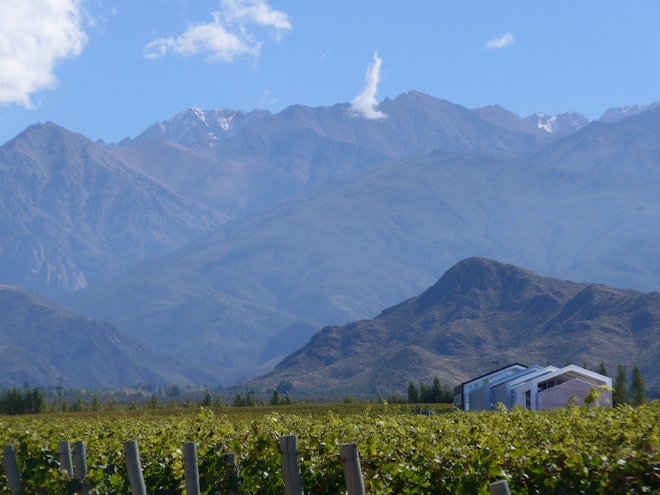 Winery