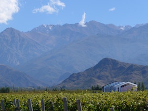 Winery
