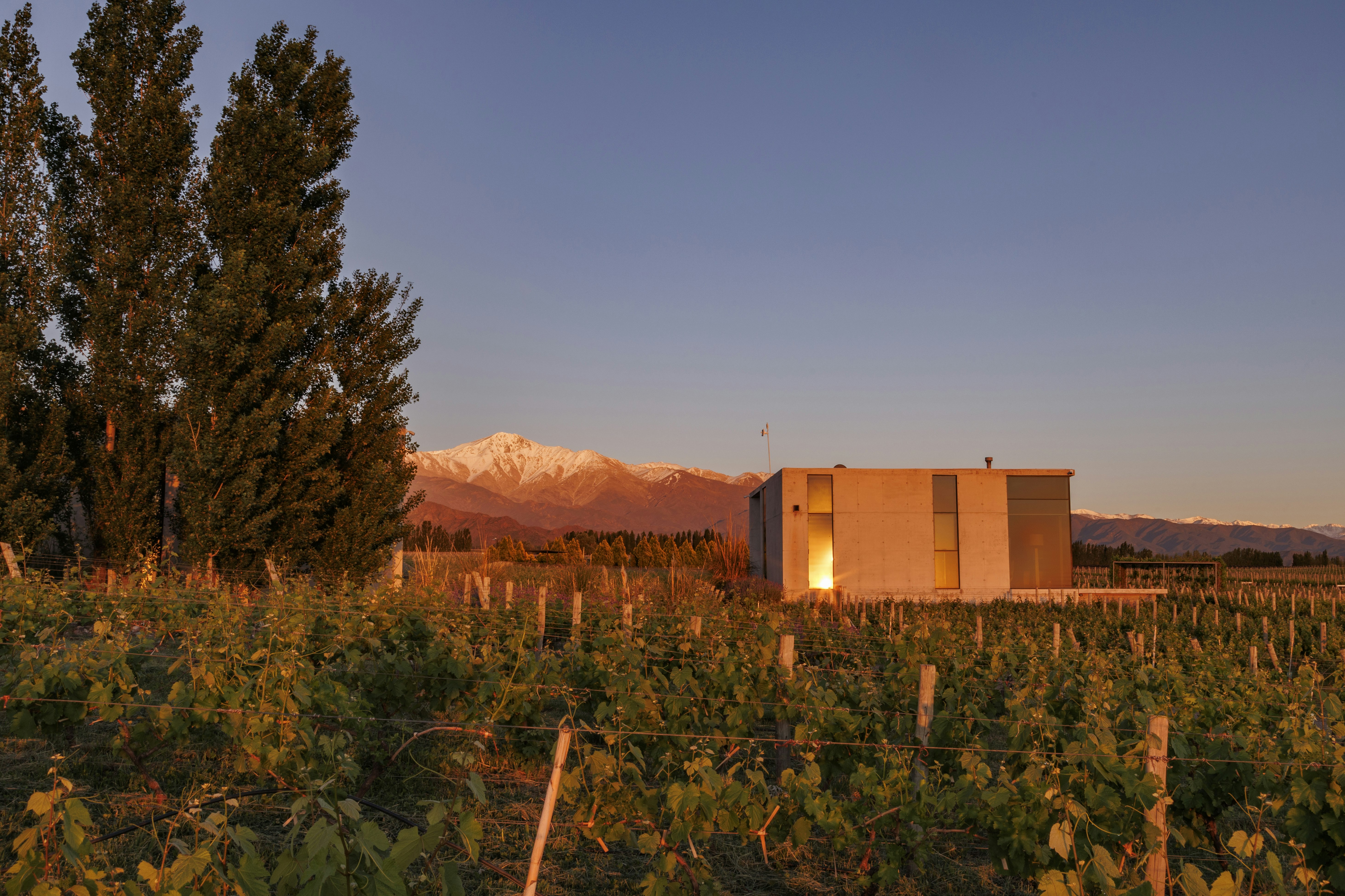 One Bedrrom Villa - Exterior