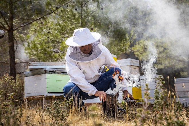 Beekeeping