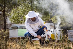 Beekeeping