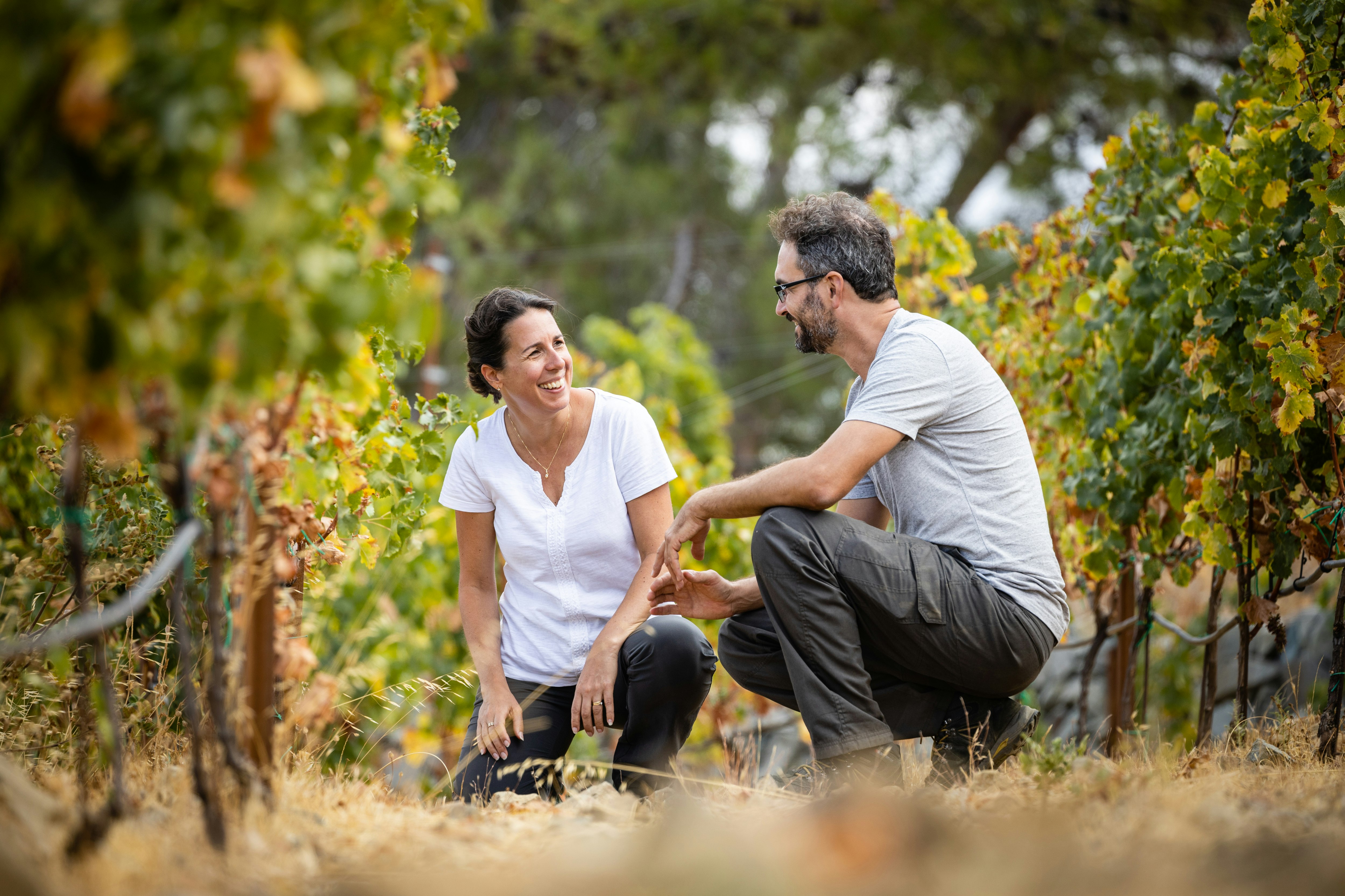 Discovering The Marathasa Vineyard