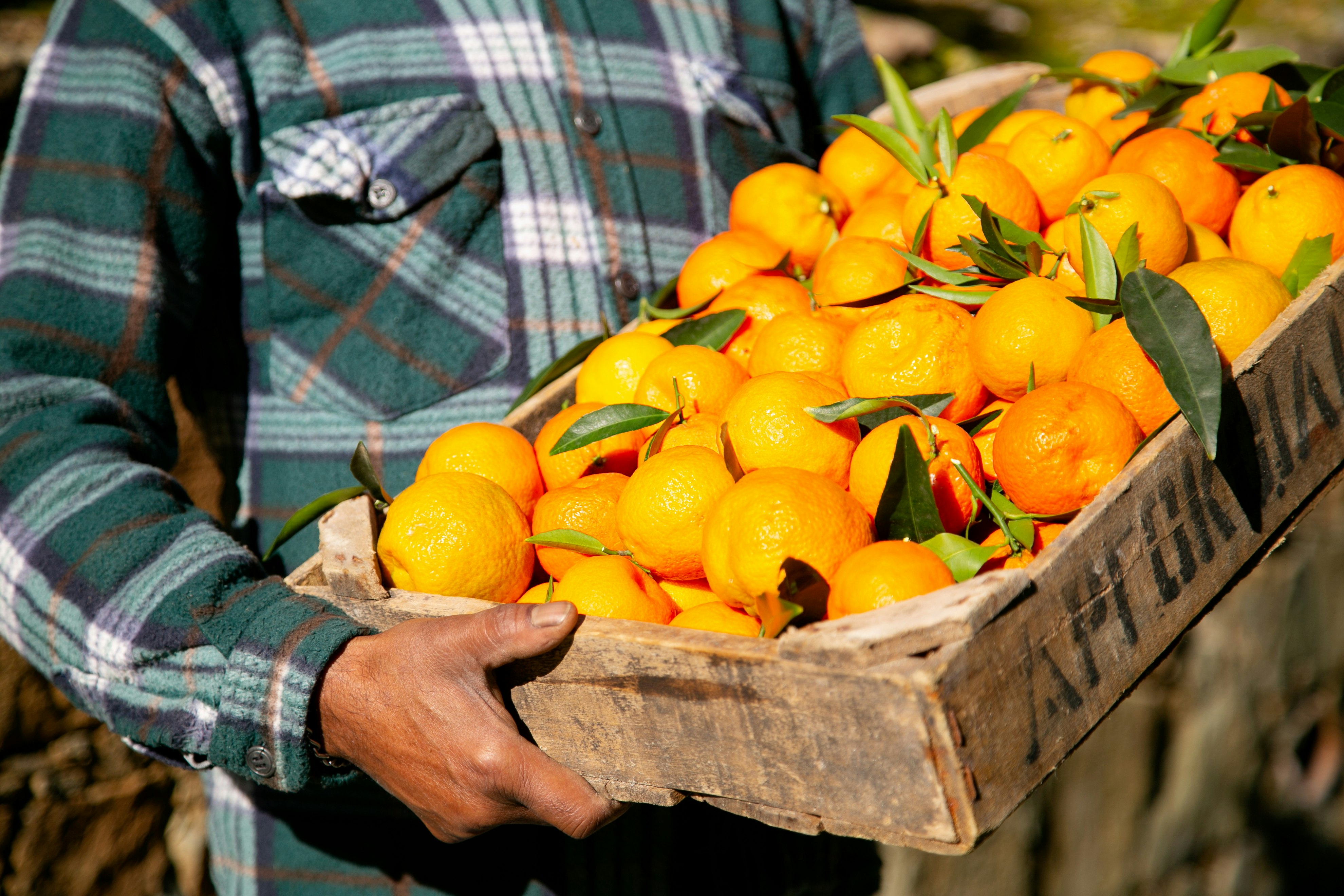 Local Clementines