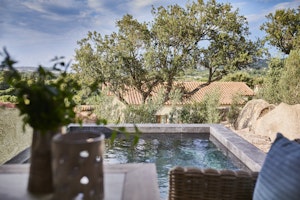 Deluxe Pool Suite - Pool