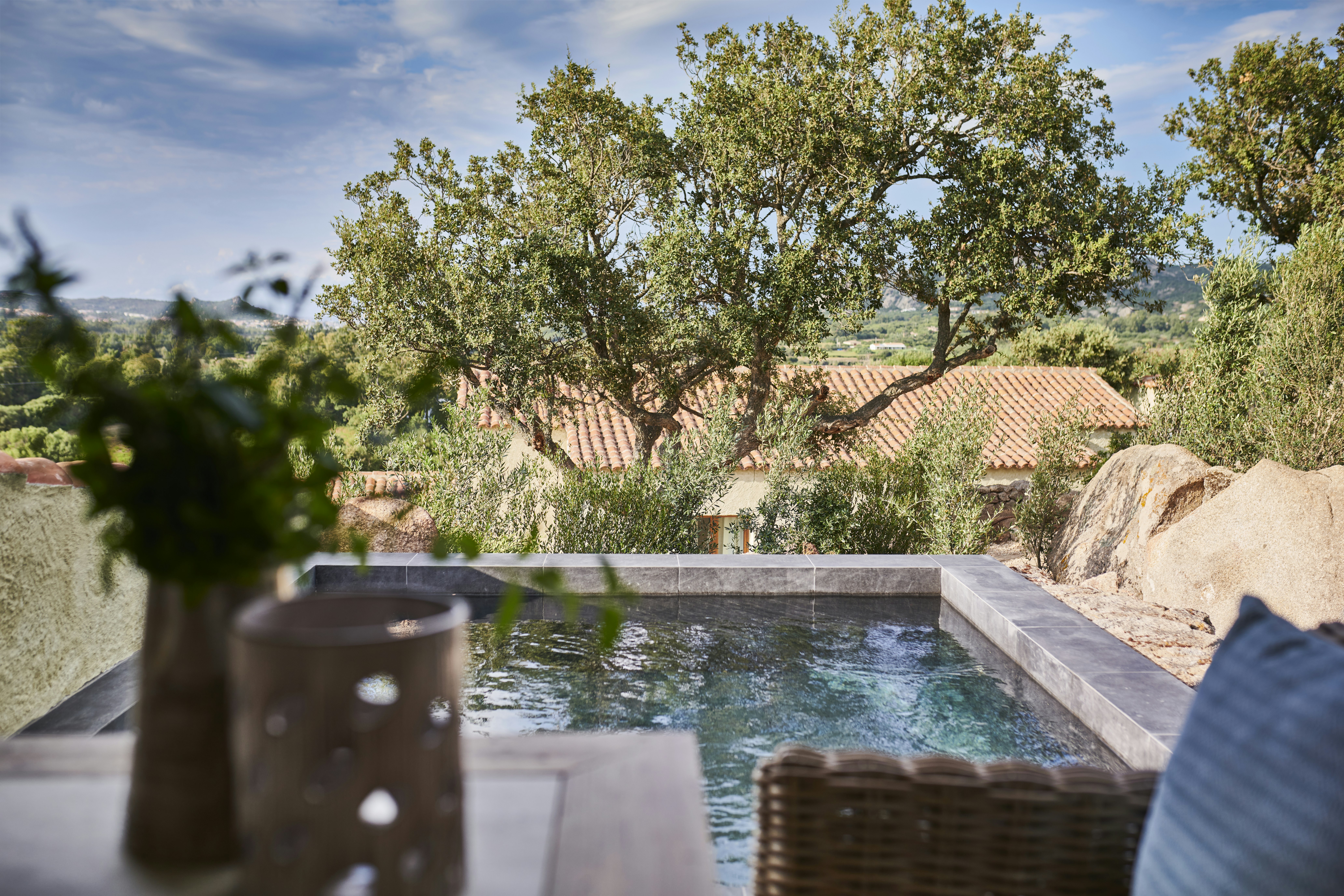 Deluxe Pool Suite - Pool