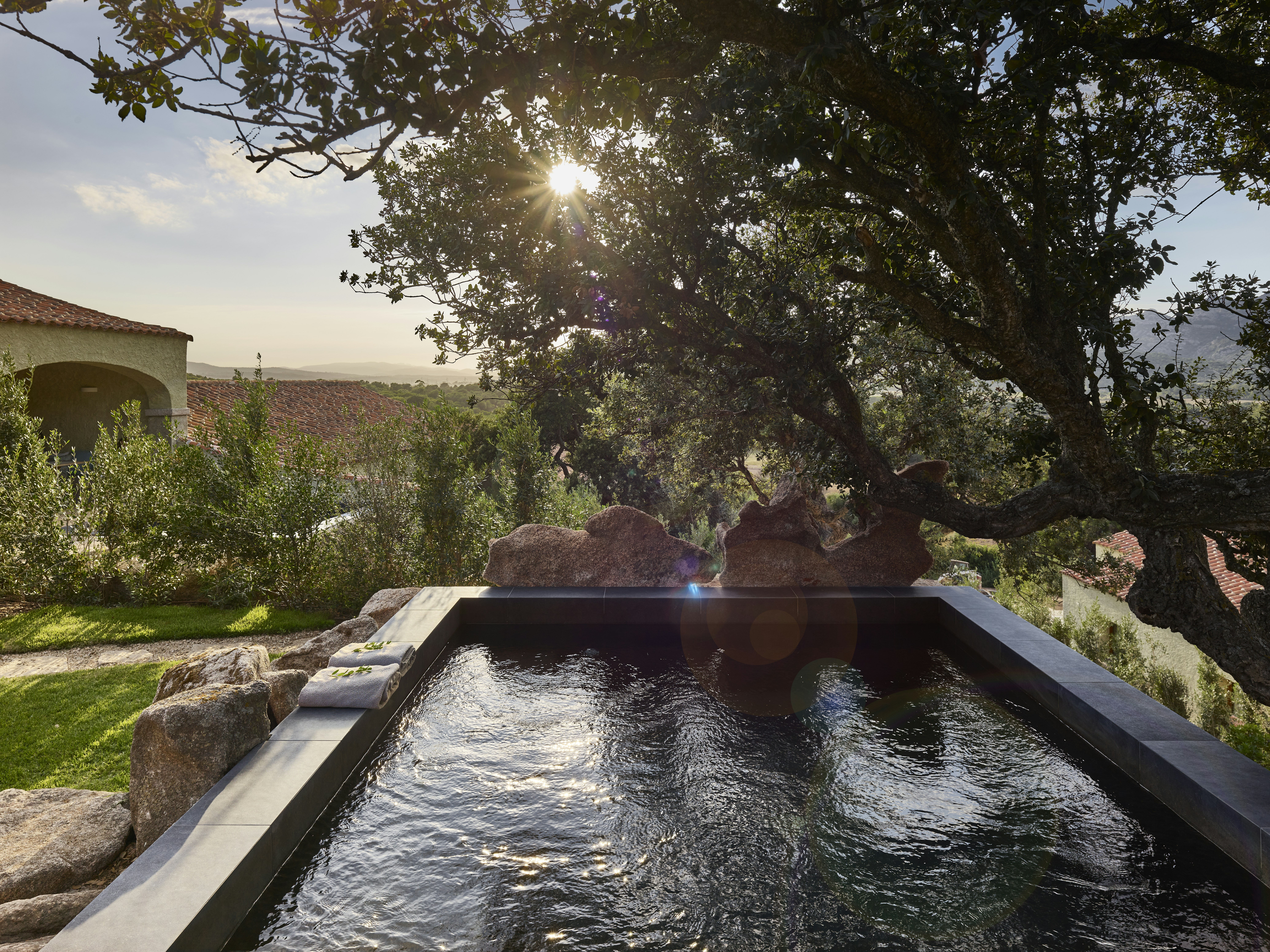 Deluxe Pool Suite - Pool