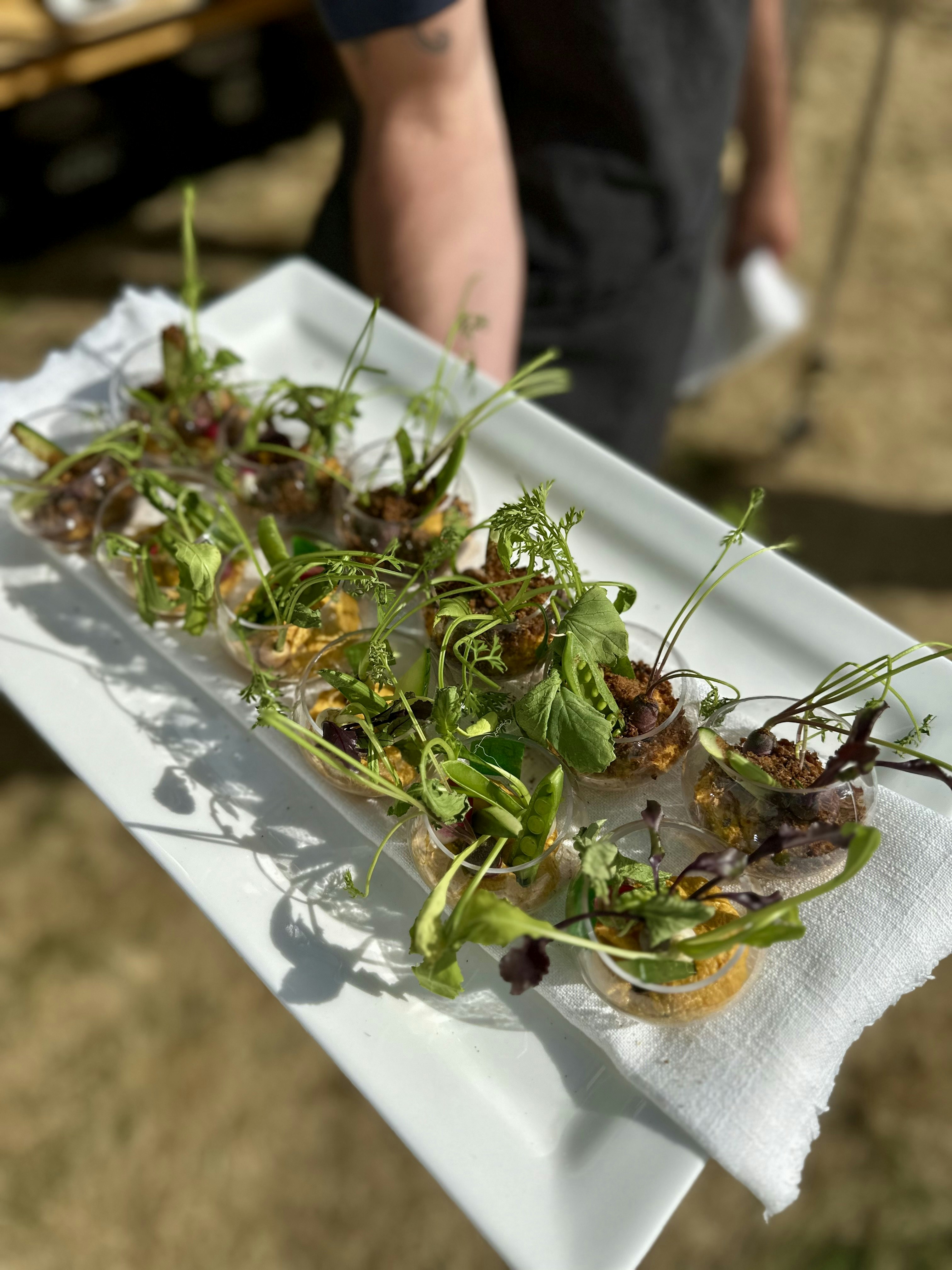 Casia garden crudite with carrot hummus by Chef Jason Wilson