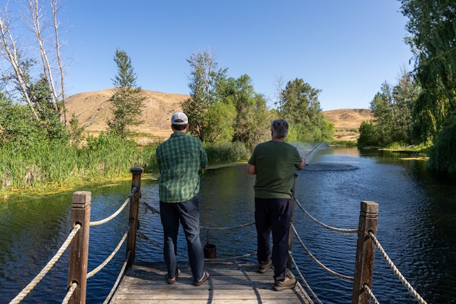 Fly Casting in the Trout Pond