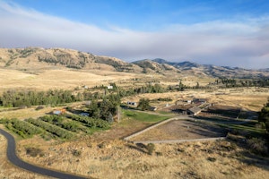 Orchards and Horse Barn