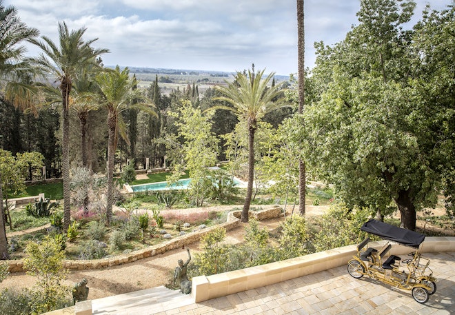 Garden and Swimming Pool