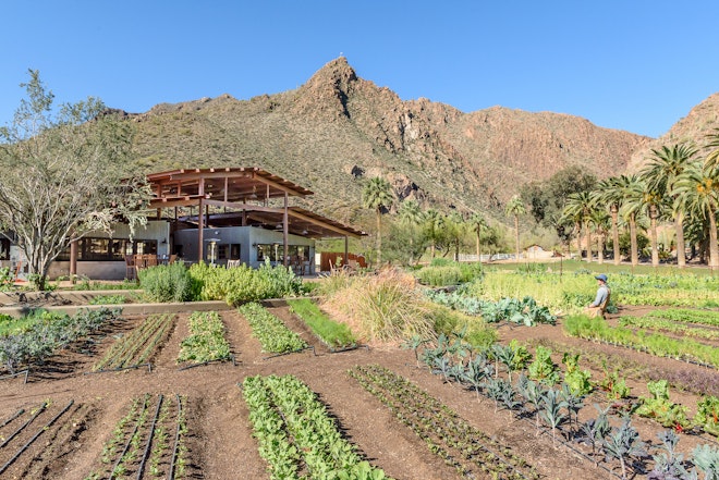 The Farm