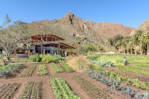 The Farm