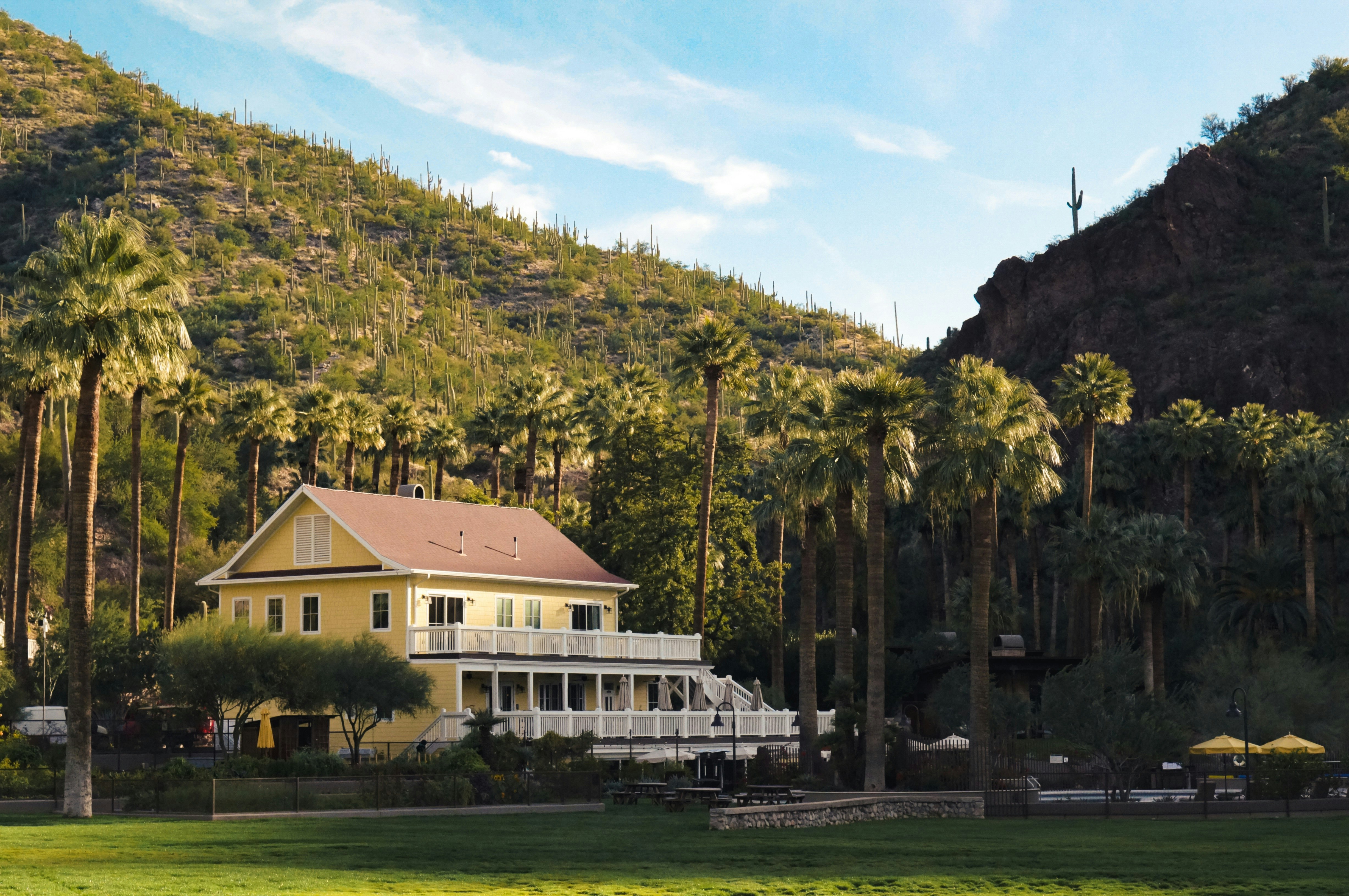Top of the Lodge - Exterior