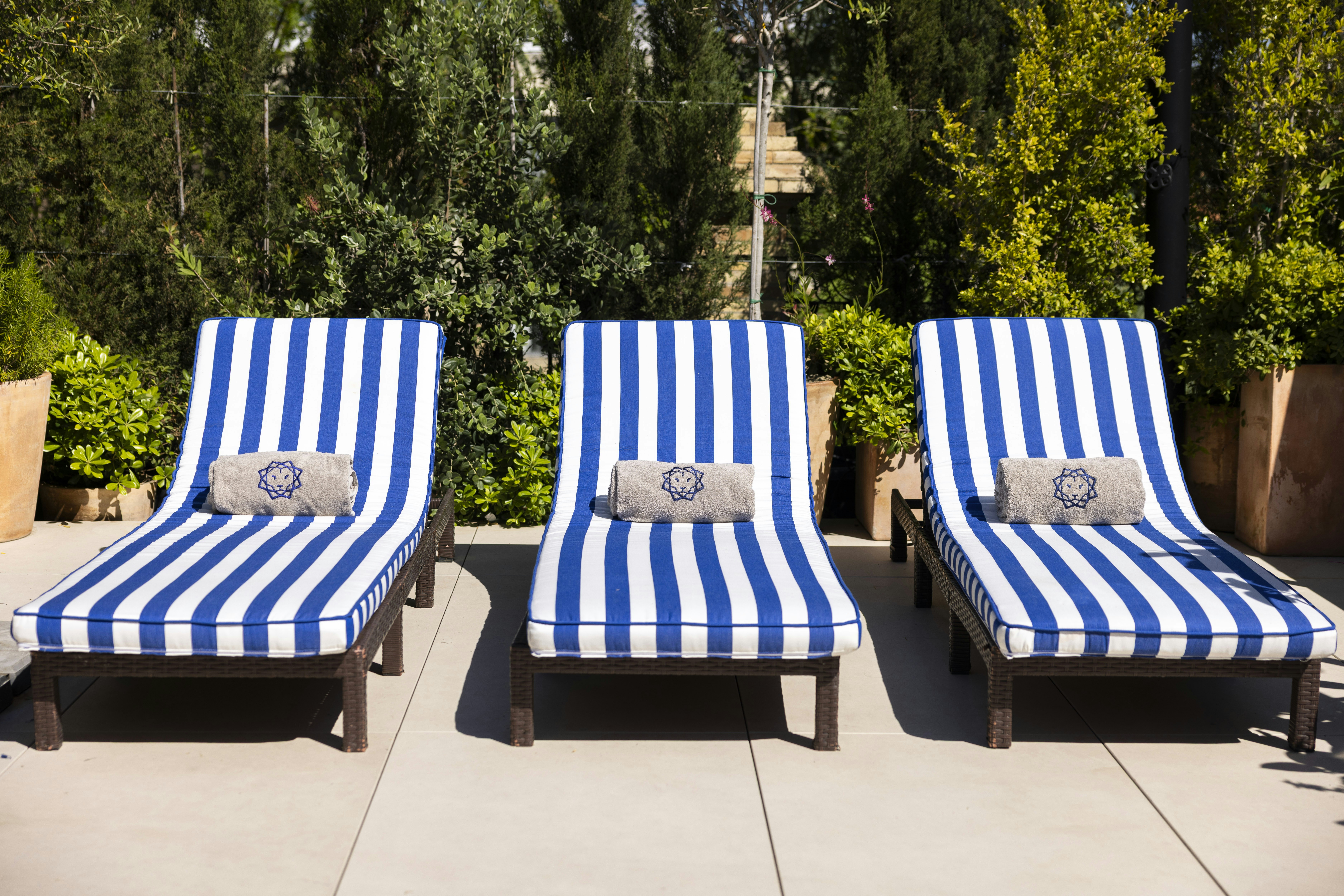 Rooftop Sun Loungers