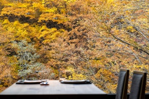 Restaurant ZUI Dining Autumn