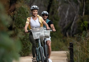 E-Bikes