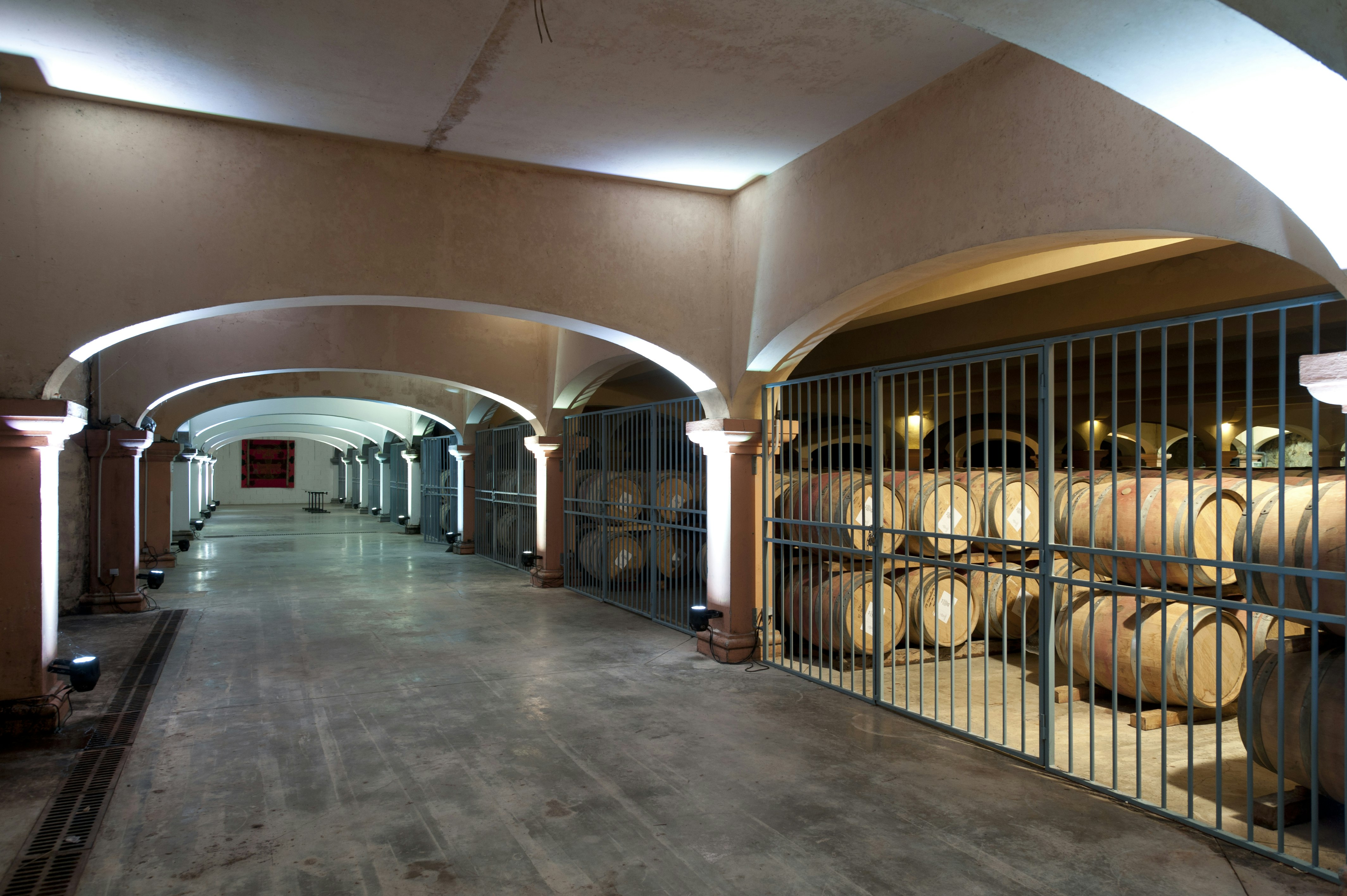 Wine Cellar