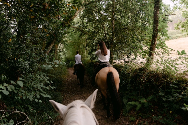caballos