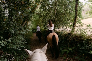 caballos
