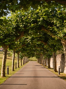 entrada