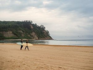 surf