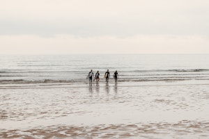 surf