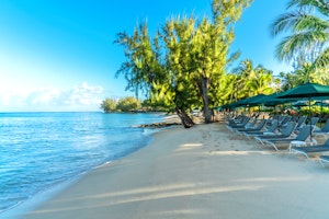 The Beach