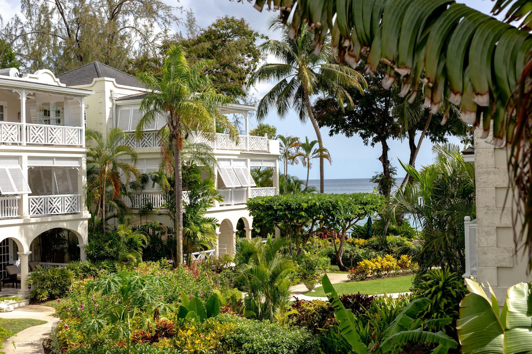 Coral Reef Club