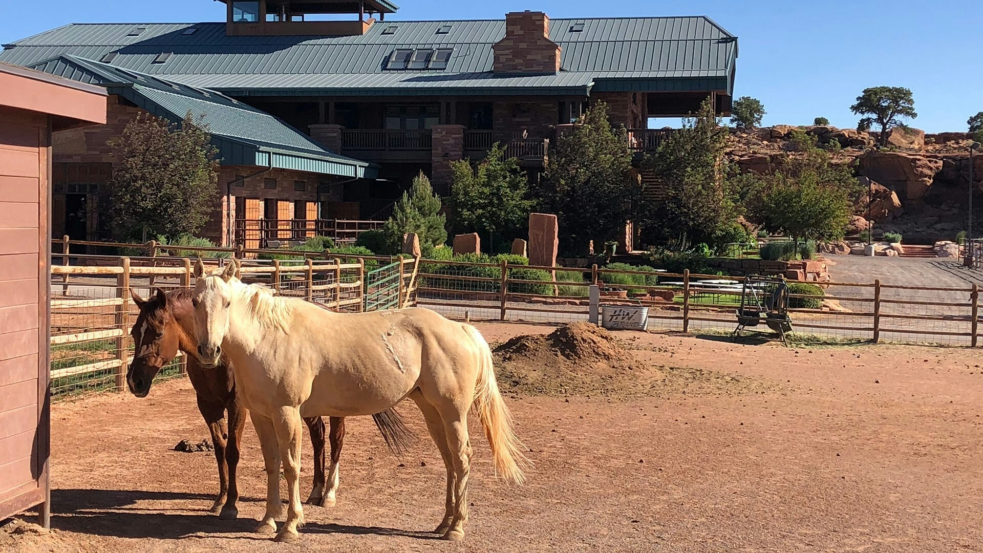Cougar Ridge - Horses