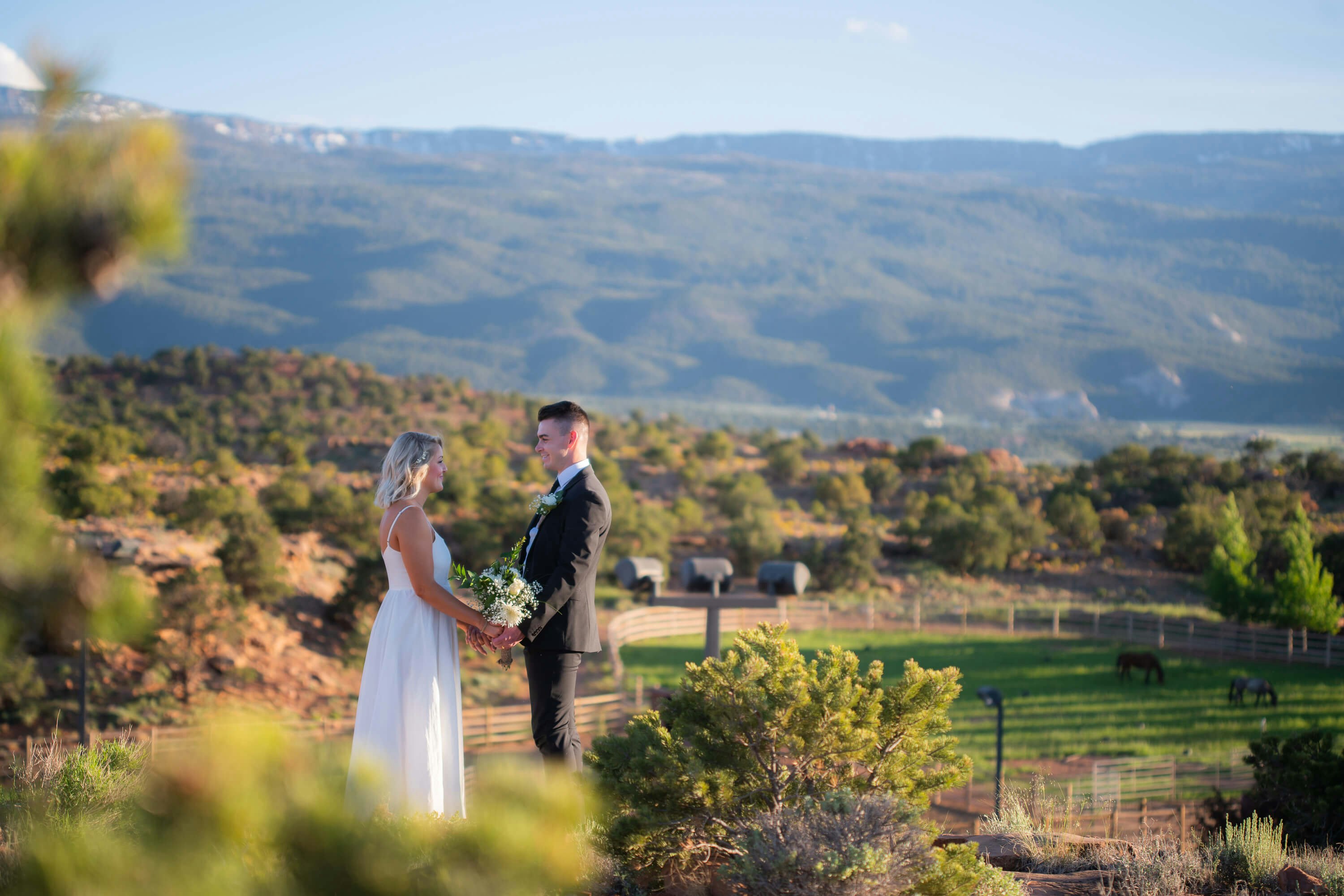 Cougar Ridge Wedding
