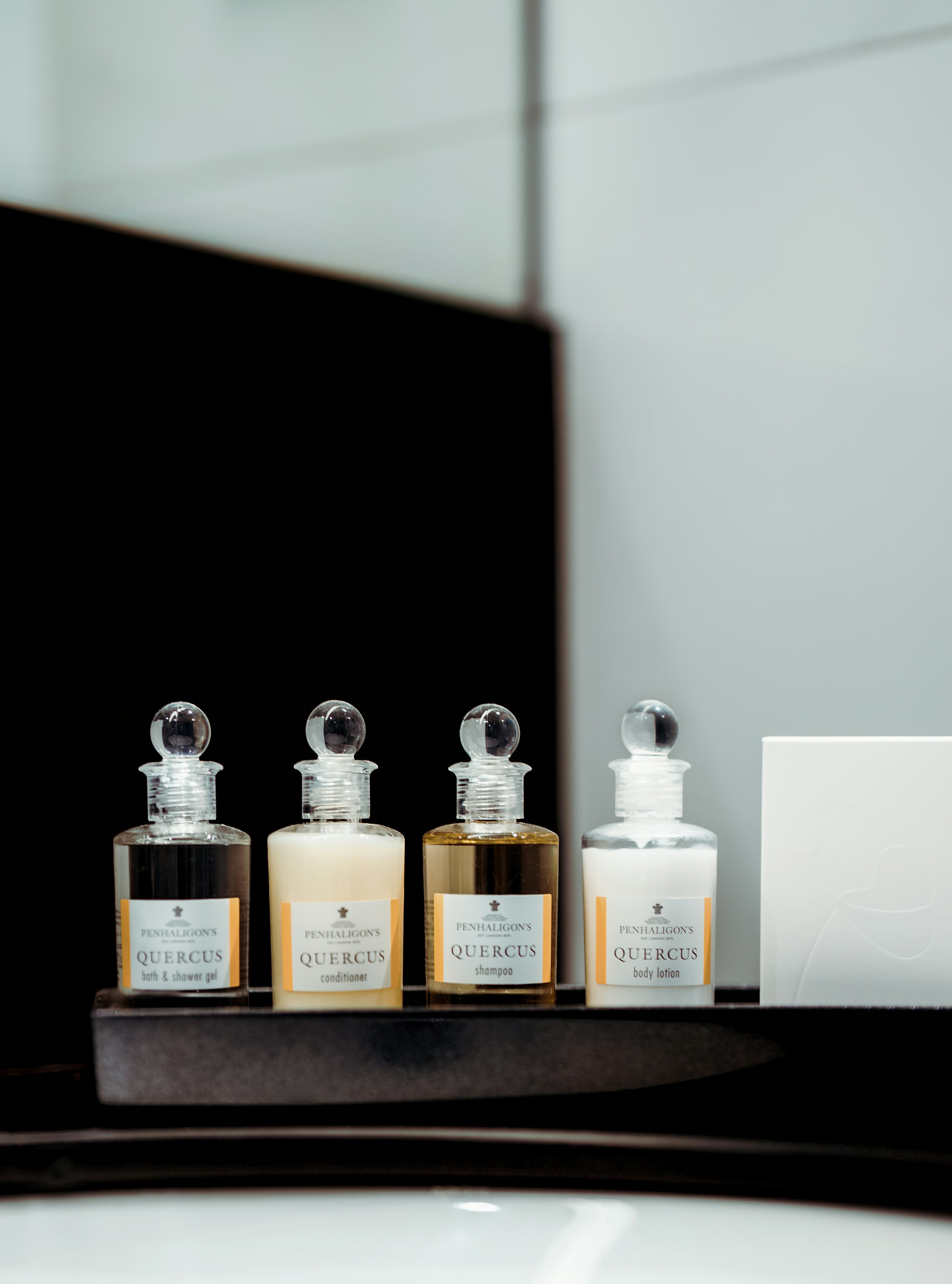 Classic Hotel Room - Bathroom Details