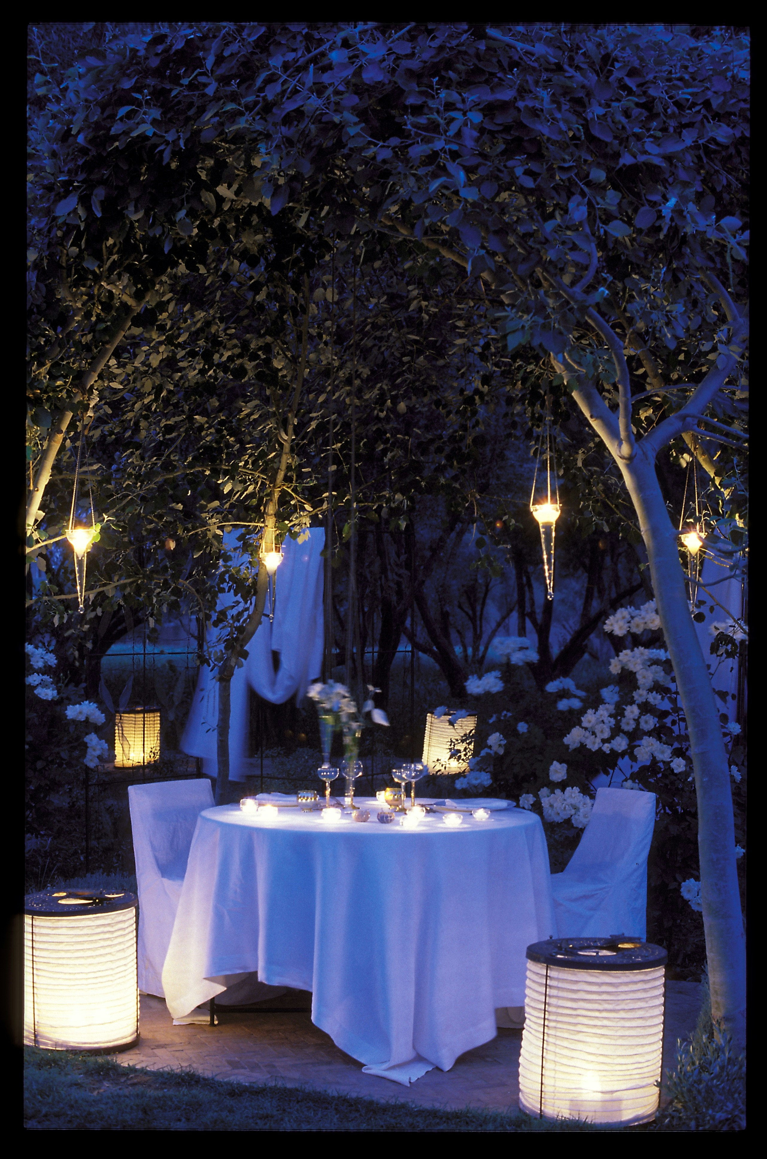 Romantic Dinner in the garden
