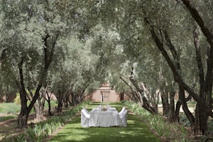 Lunch In The Garden