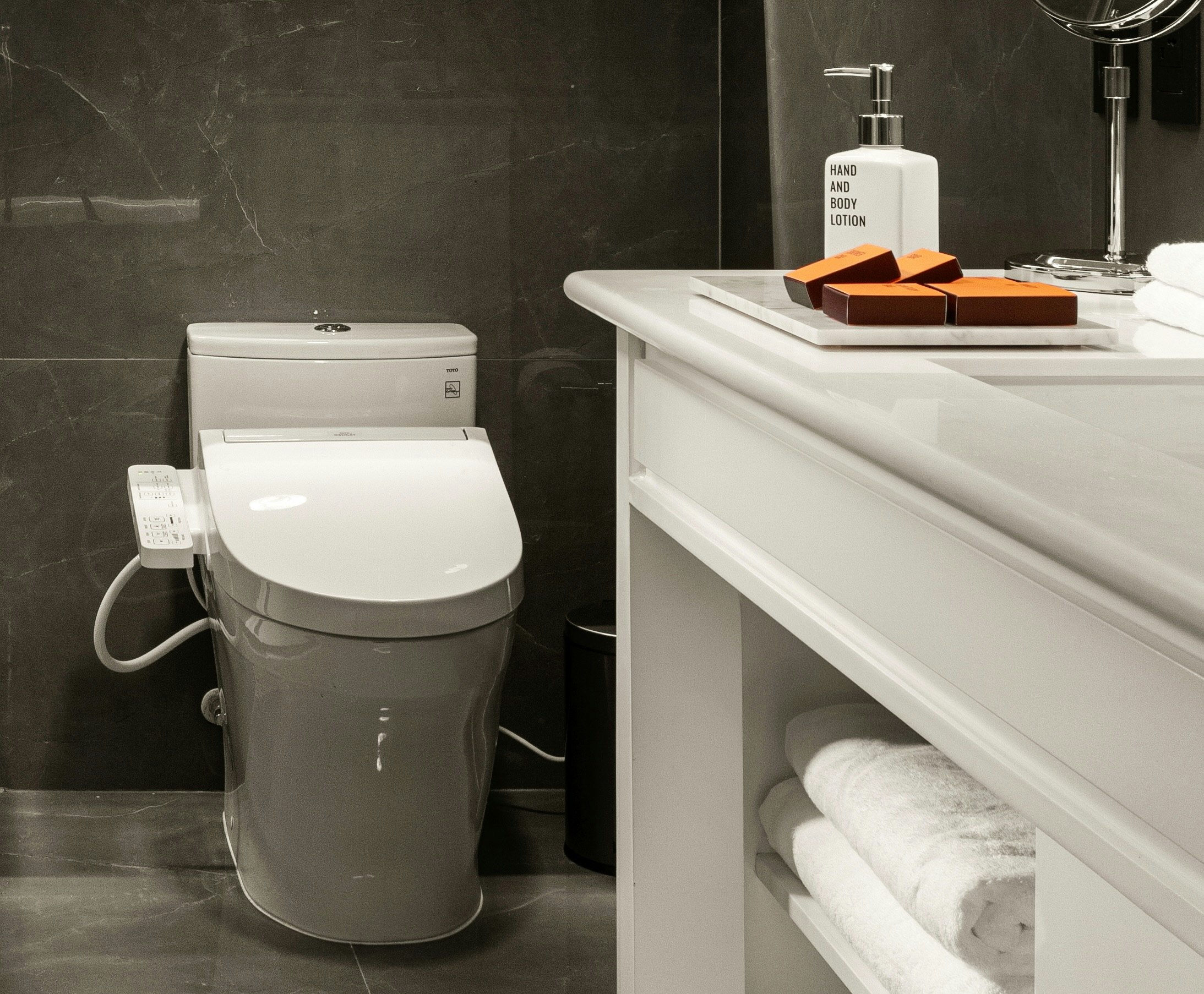 Bathroom Detail - Japanese TOTO Spa Bidet