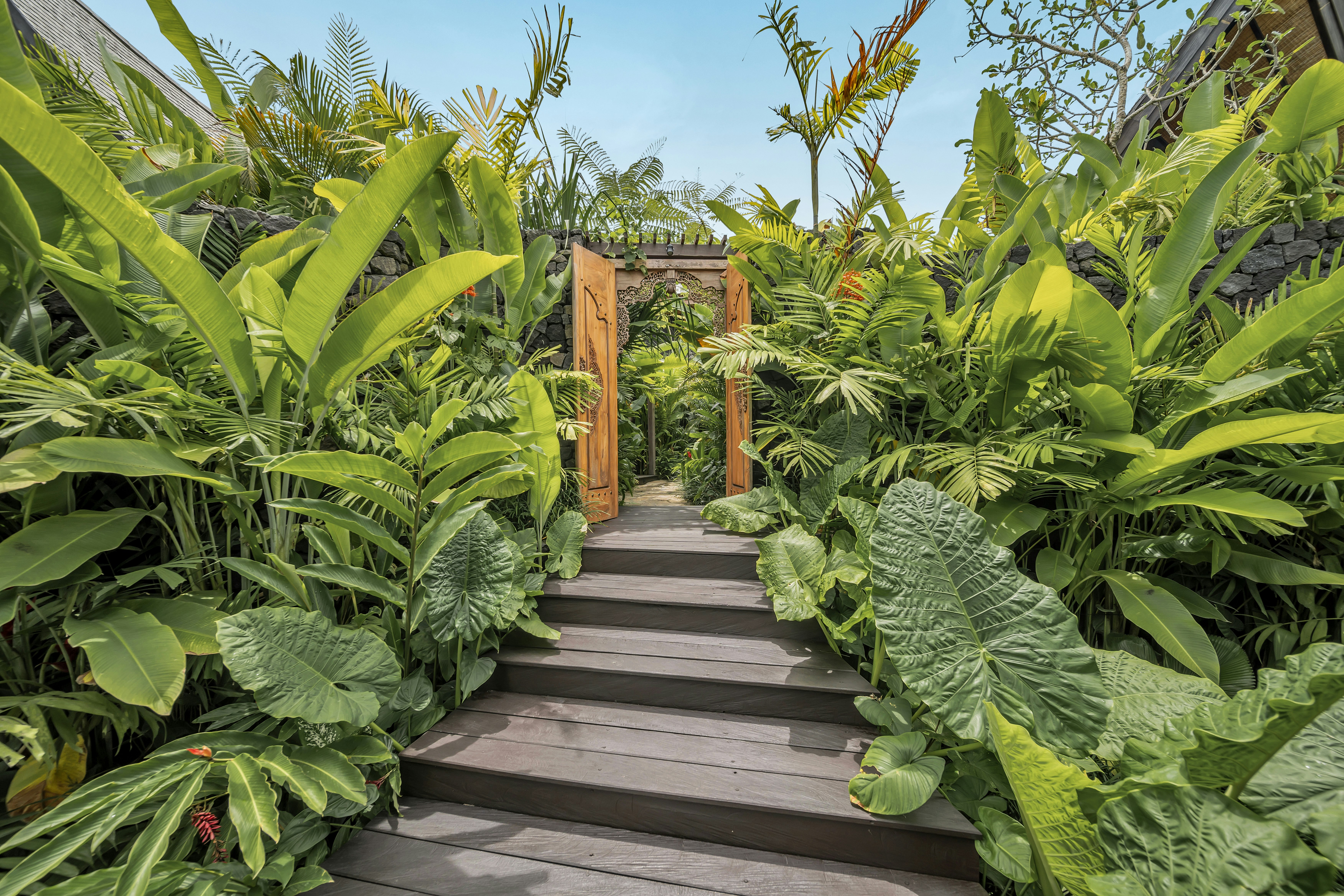 Premium Jabu Entrance