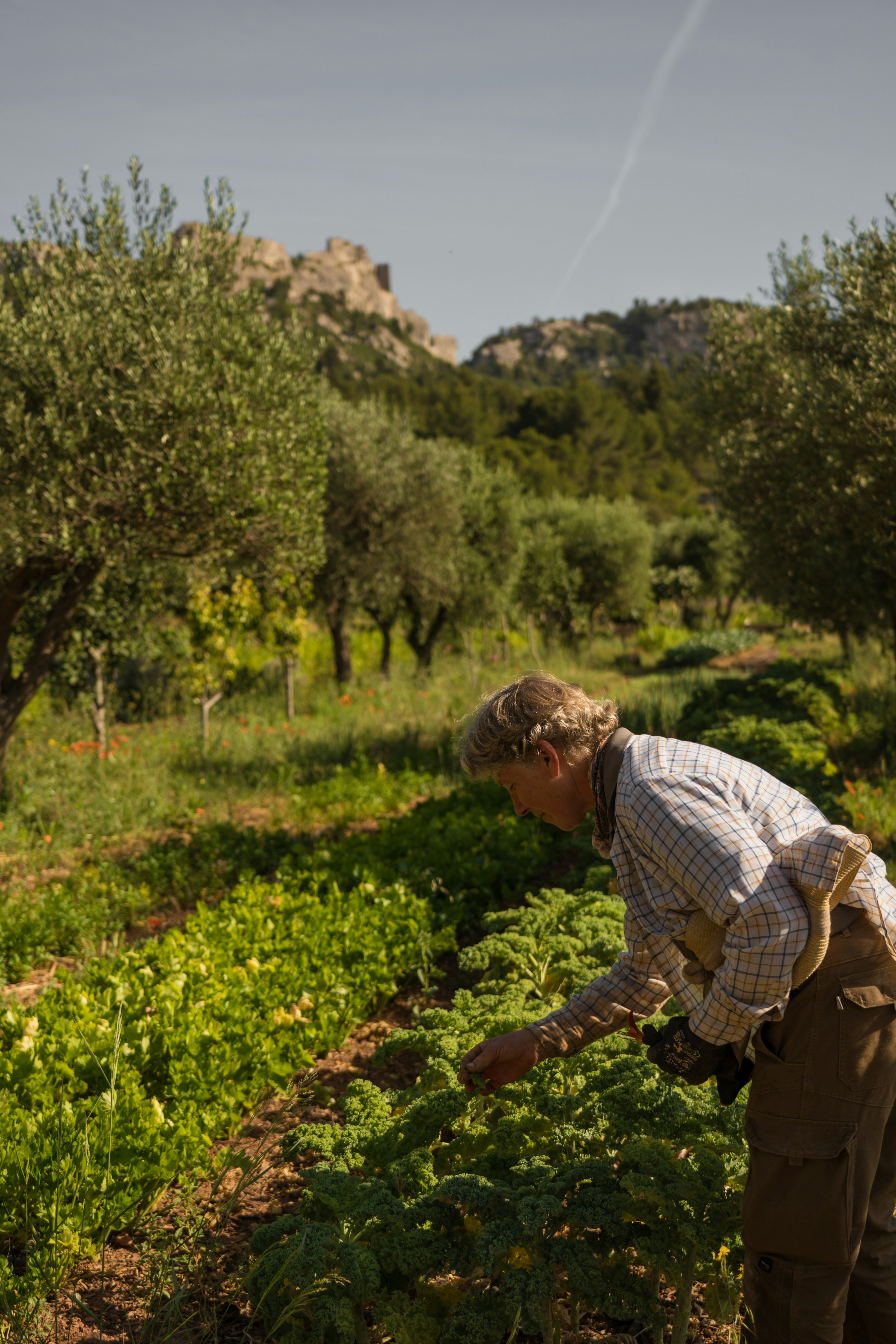 Agro Ecological Farm
