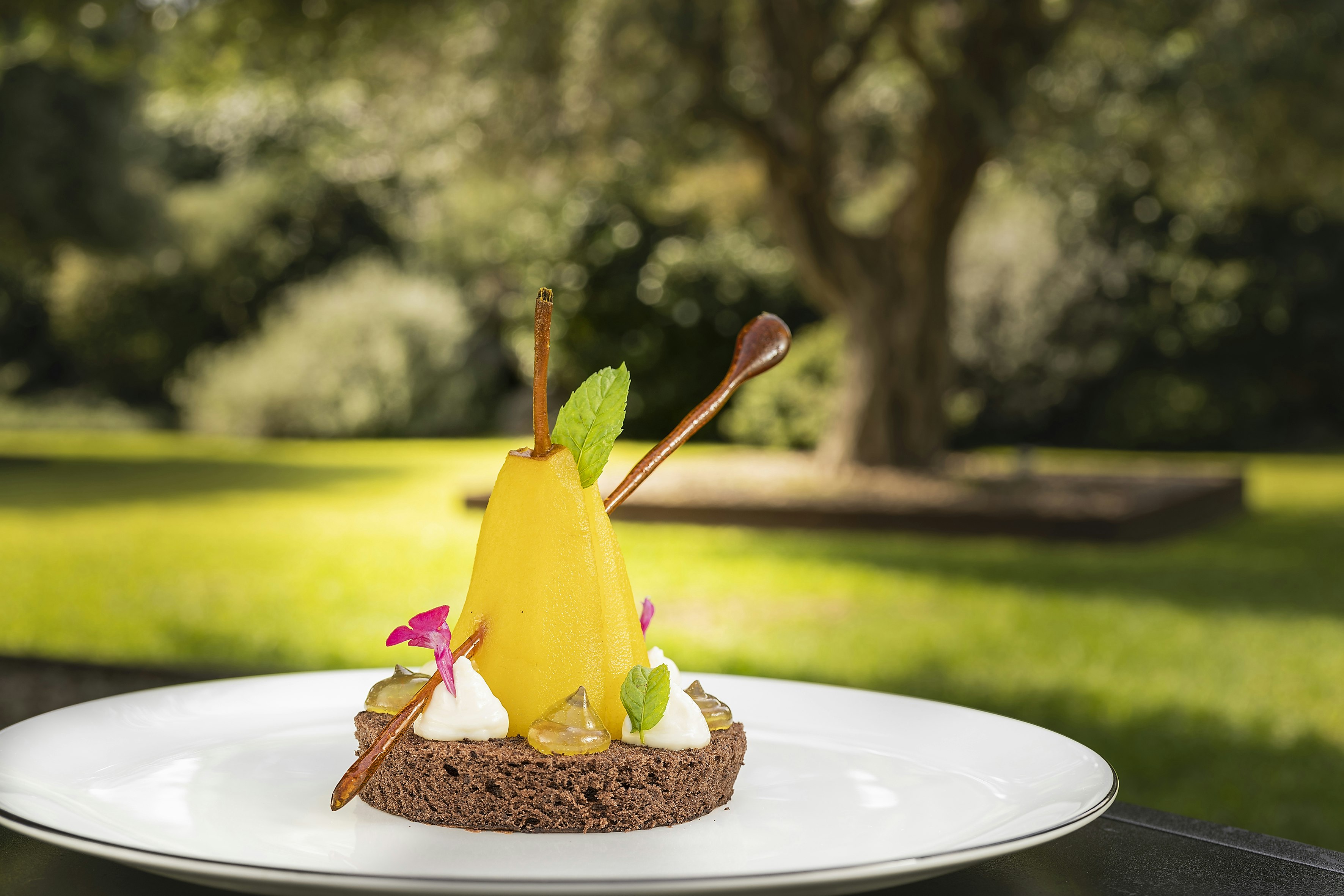 La Cucina Di DonnaCarmela Restaurant