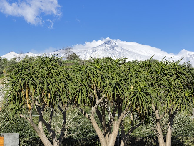 Etna View
