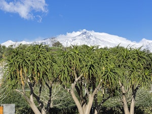 Etna View