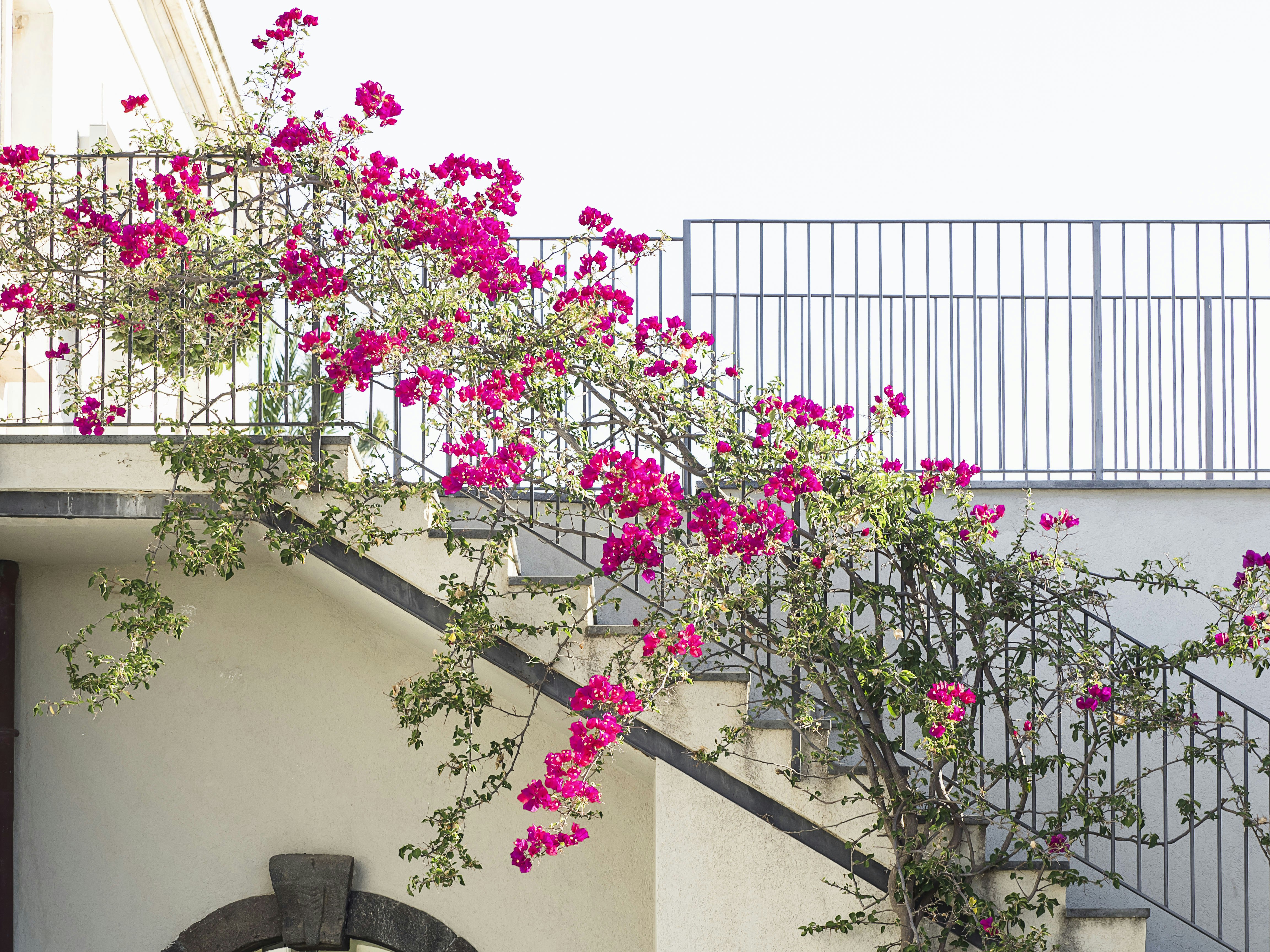 Grand Suite with private pool