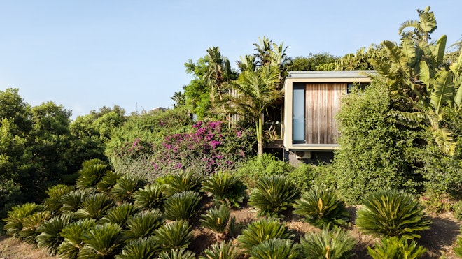 Tropical Garden